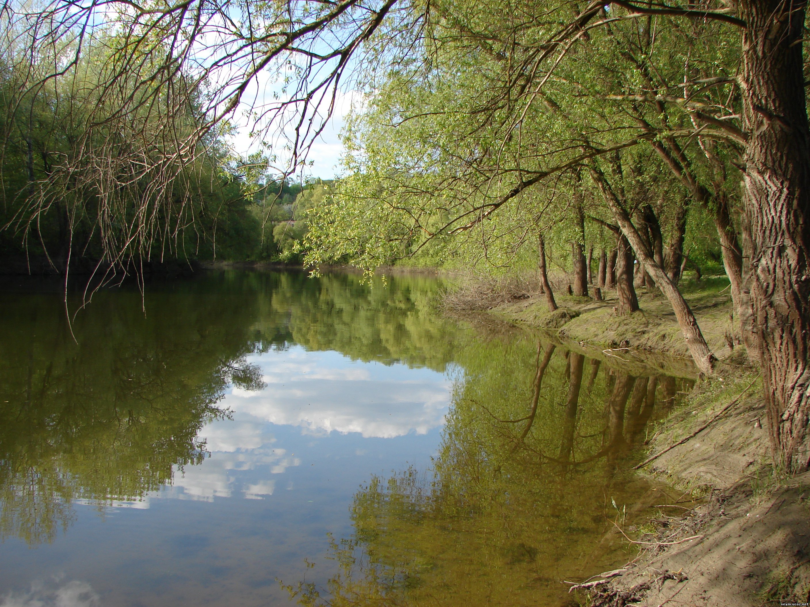 Река Сейм Путивль. Река Сейм Карыж. Река Сейма в Нижегородской области. Речка Сейм в Сумской.